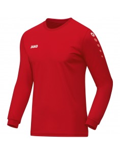 JR Jersey Team L/S