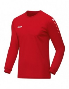 Jersey Team L/S