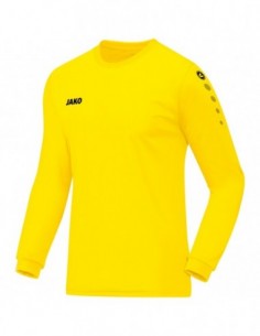 Jersey Team L/S