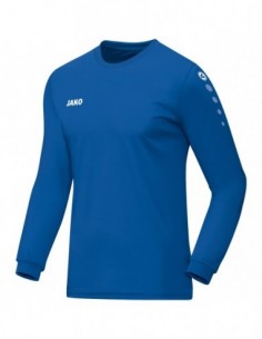 Jersey Team L/S