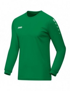 Jersey Team L/S