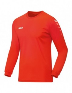 Jersey Team L/S